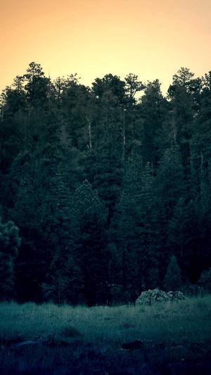 彭于晏黑料截图2